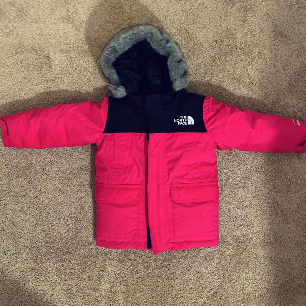 The NorthFace Toddler Arctic Down Parka